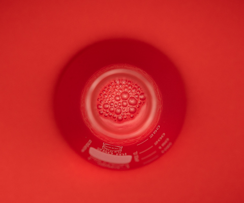 Wir bieten diverse Chemikalien und Gegenstände des Laborbedarfes zum Verkauf an. Zum Beispiel Erlenmayerkolben, Bechergläser aber auch Chemikalien. Direkt zur Abholung in Schaffhausen.