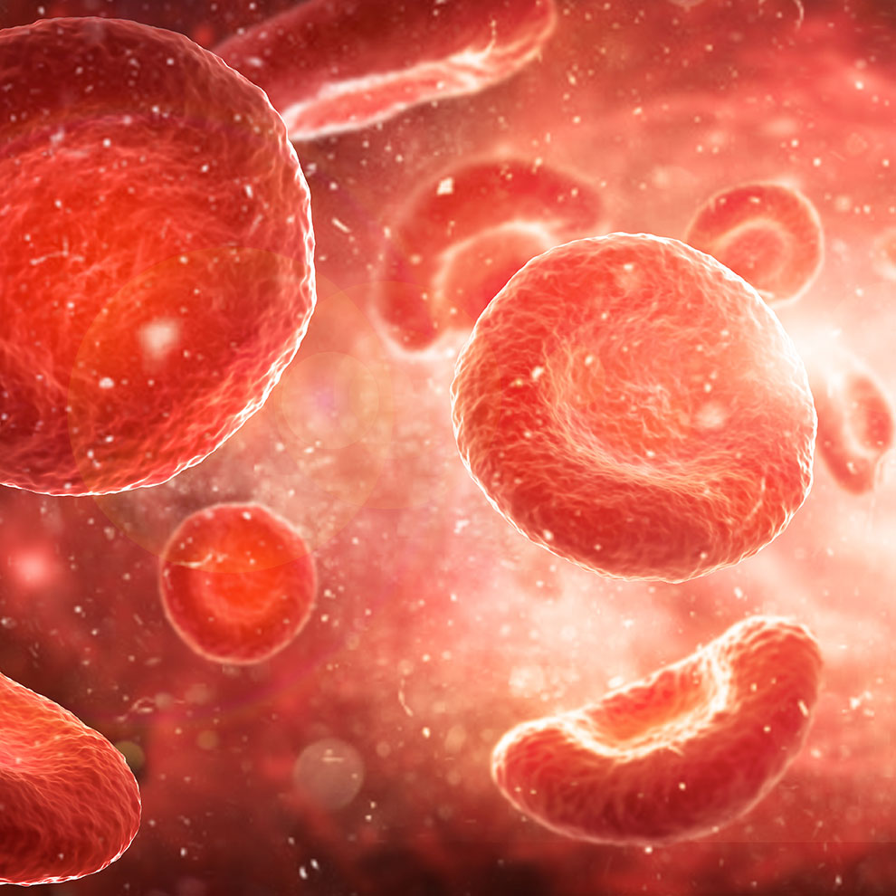 Der INR Wert ist ein wichiger Messwert bei der Einnahme von Blutverdünnern.